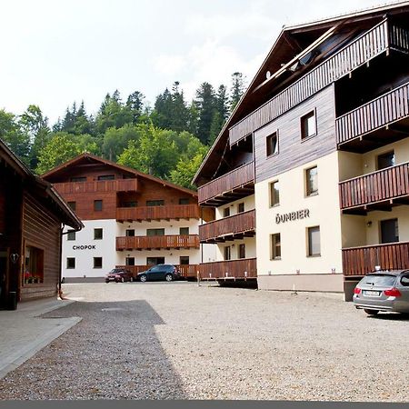 Apartman Chopok Juh Anka Horná Lehota 외부 사진